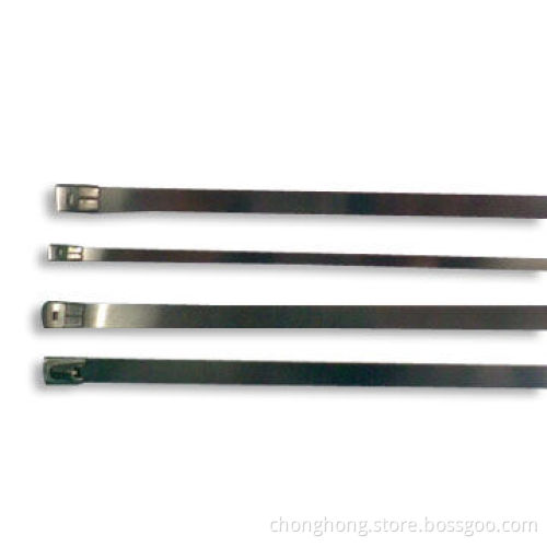 Stainless Steel Cable Ties with Four Different Types of Locking Heads